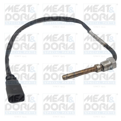 Sensor, exhaust gas temperature